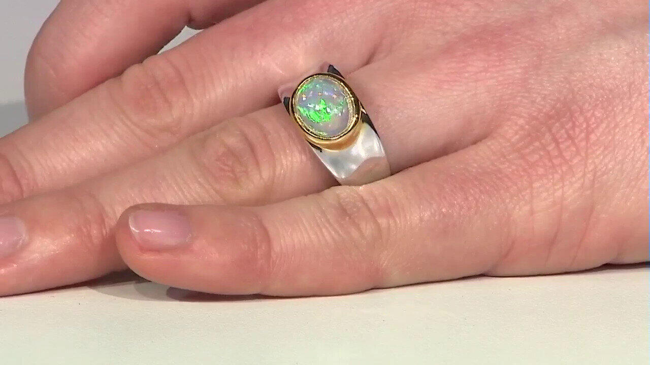 Letzte TV-Show ansehen