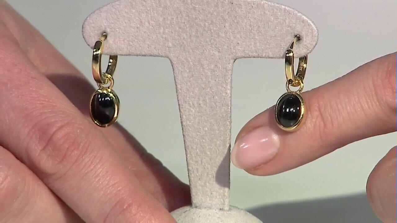 Letzte TV-Show ansehen