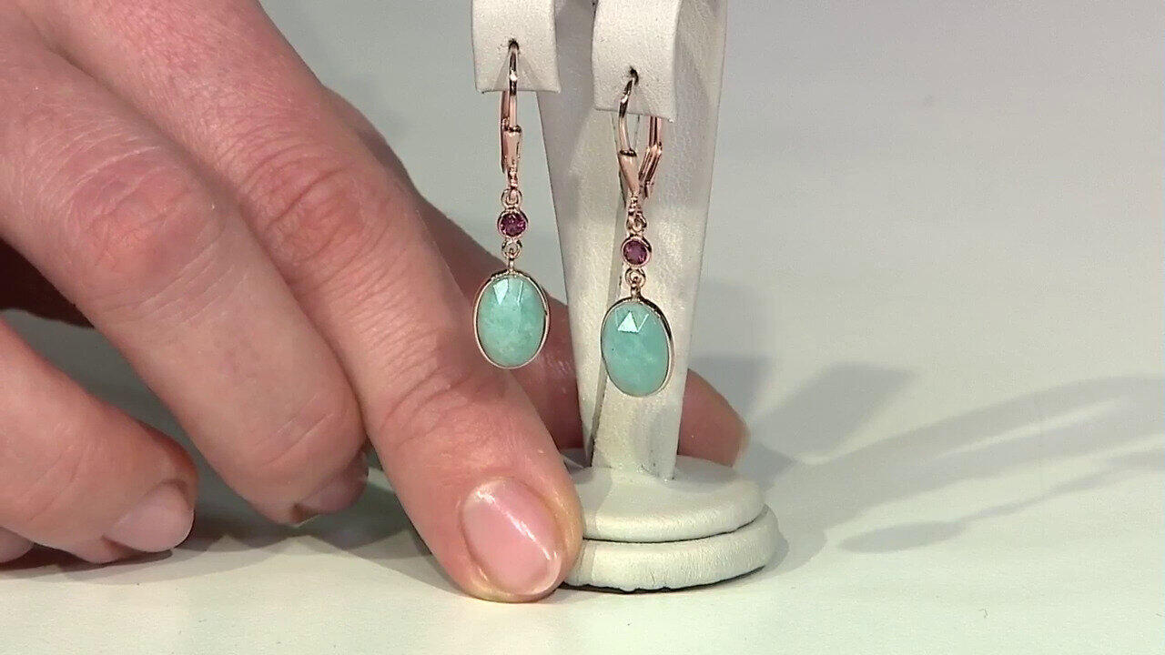 Letzte TV-Show ansehen