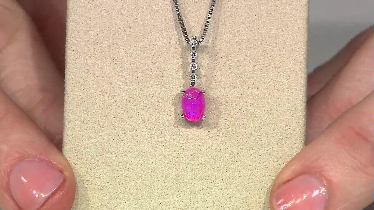 Laatste live aanbiedingen bekijken