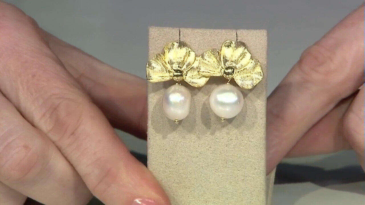 Letzte TV-Show ansehen