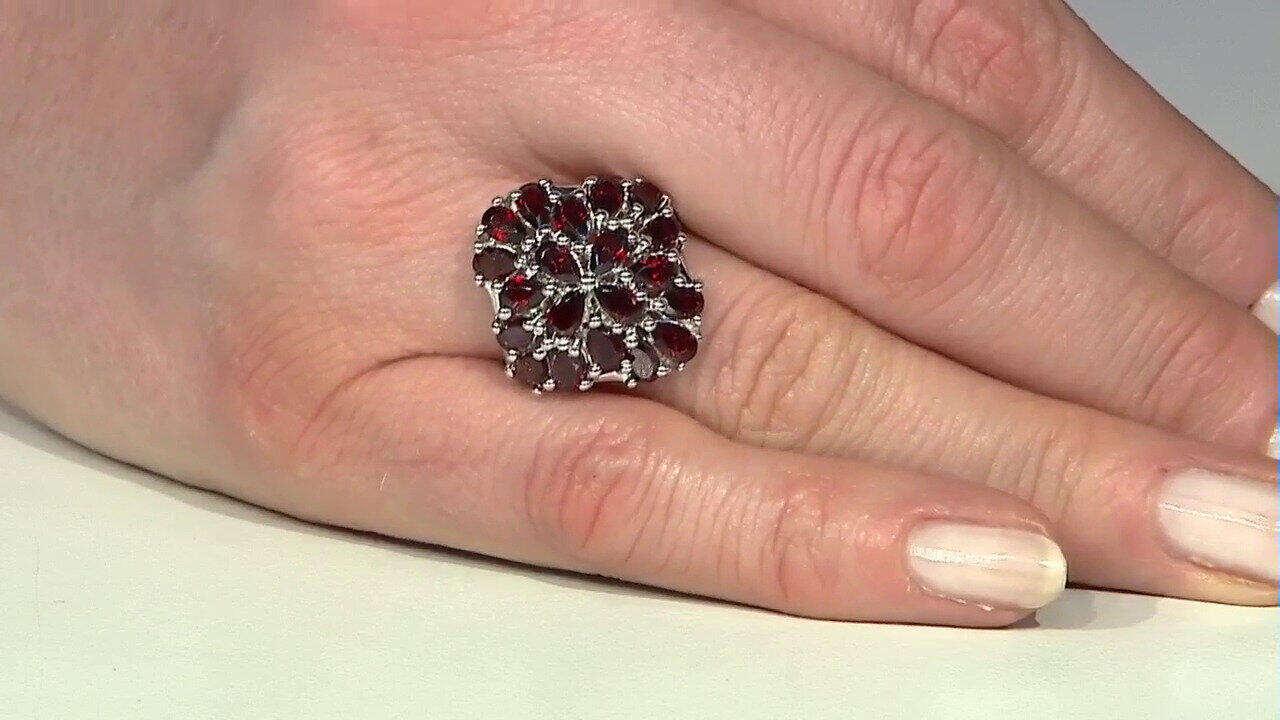 Letzte TV-Show ansehen