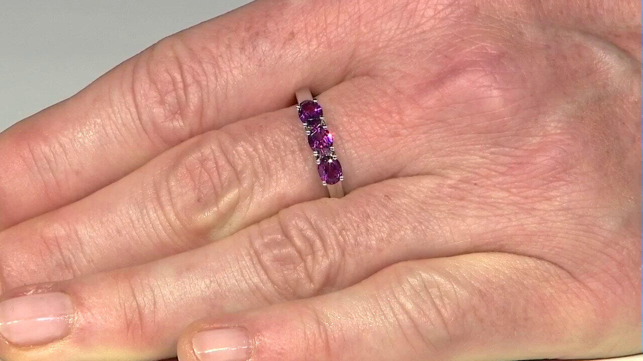 Letzte TV-Show ansehen