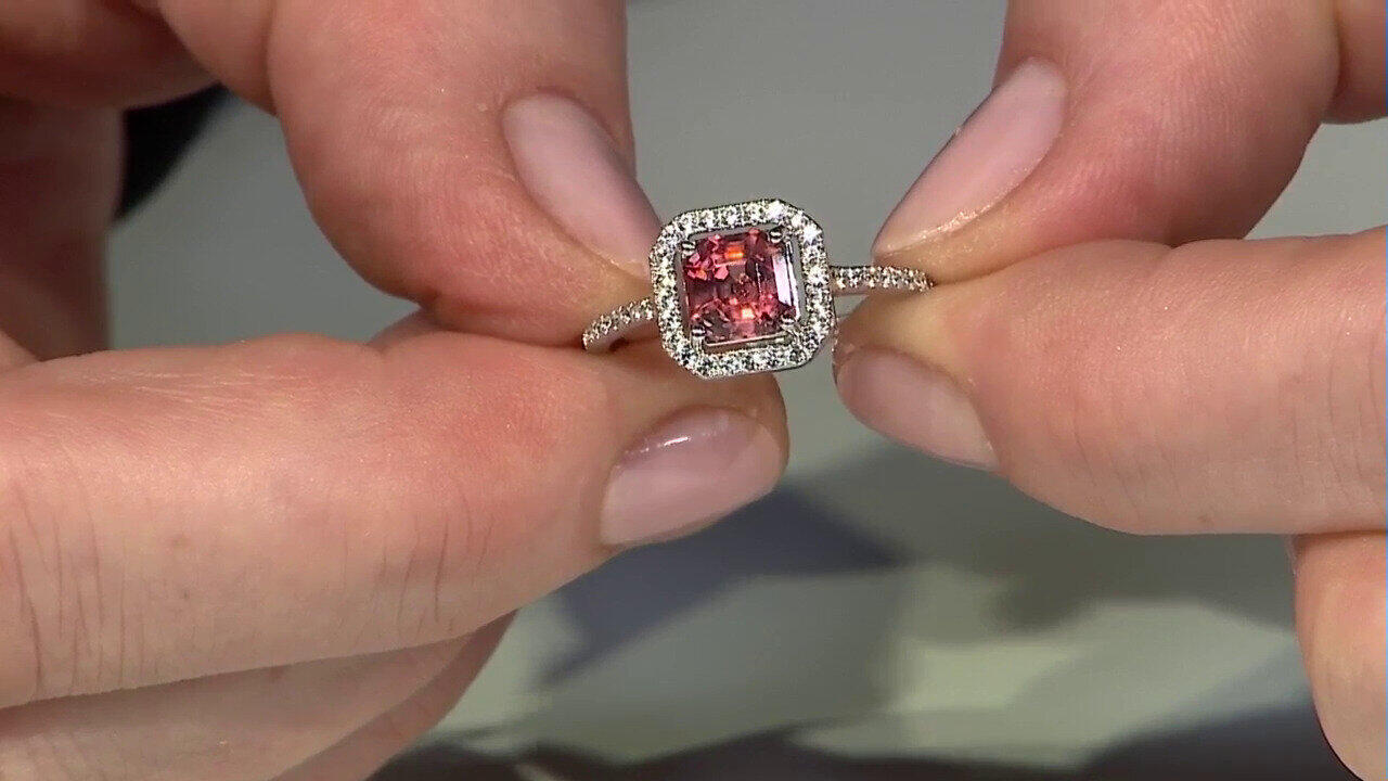 Letzte TV-Show ansehen