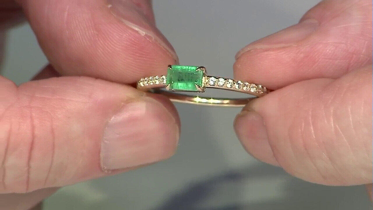 Letzte TV-Show ansehen