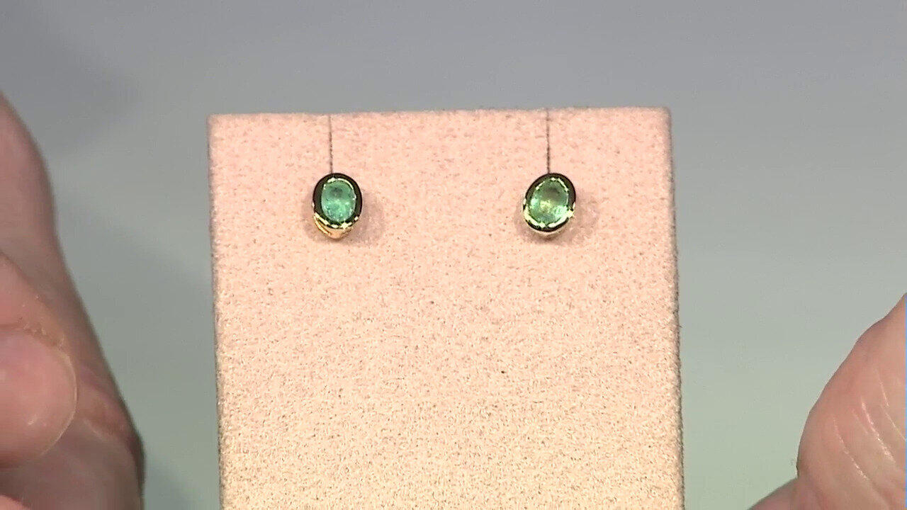 Laatste live aanbiedingen bekijken