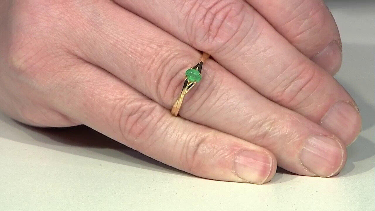 Laatste live aanbiedingen bekijken