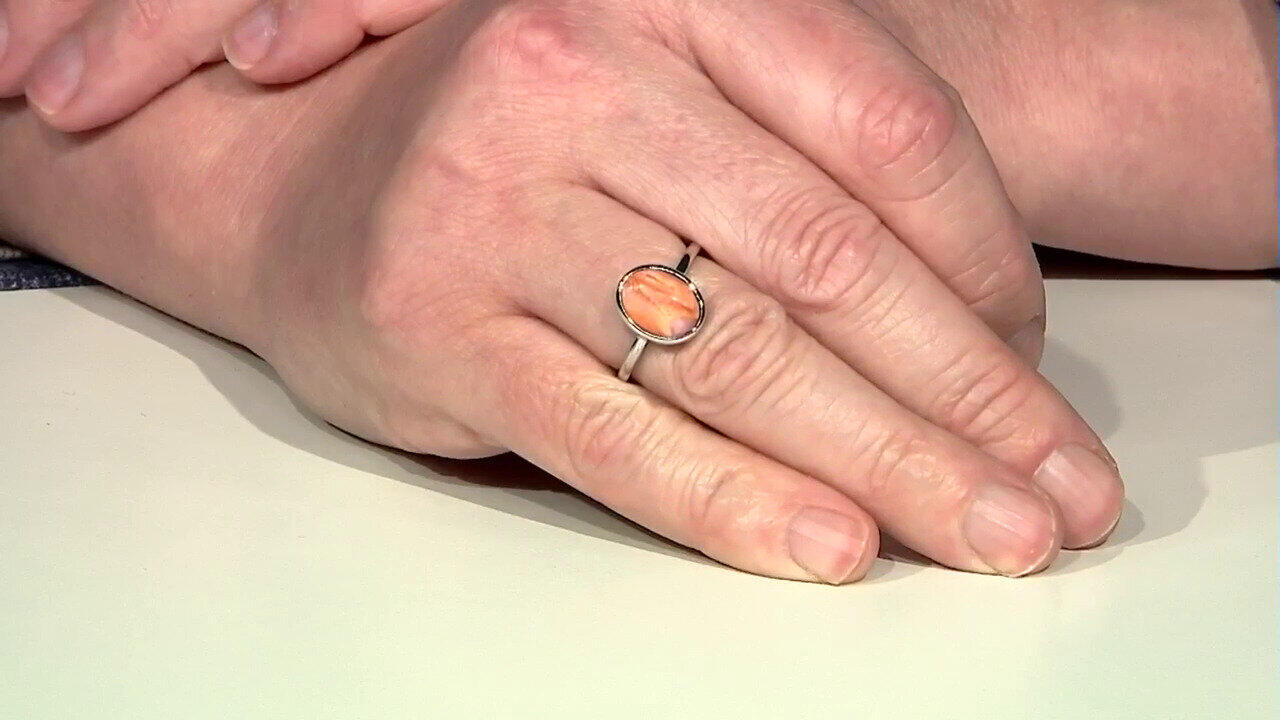 Letzte TV-Show ansehen