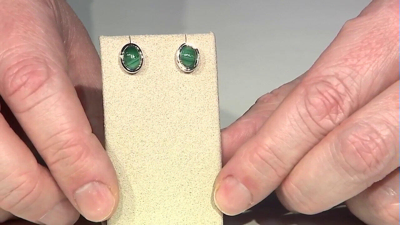 Letzte TV-Show ansehen