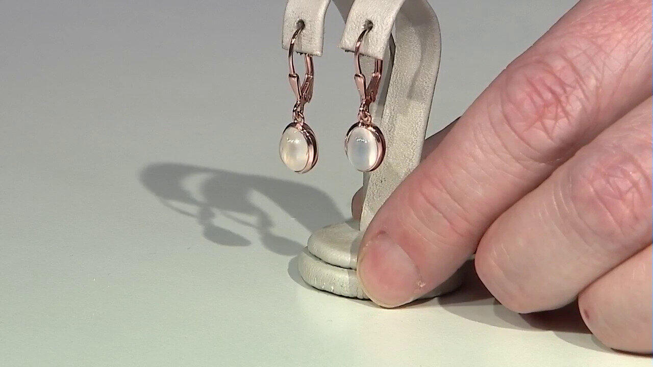 Letzte TV-Show ansehen