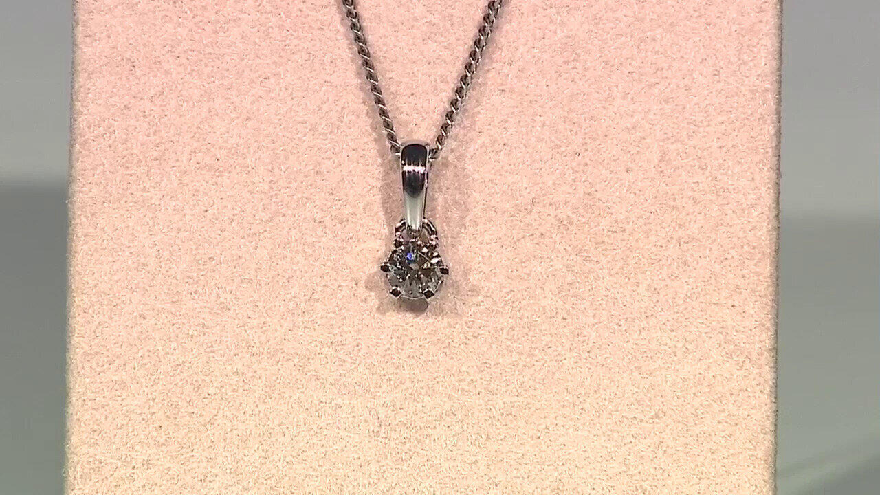 Letzte TV-Show ansehen