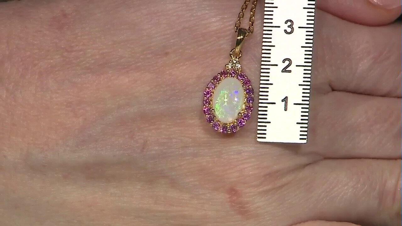 Letzte TV-Show ansehen