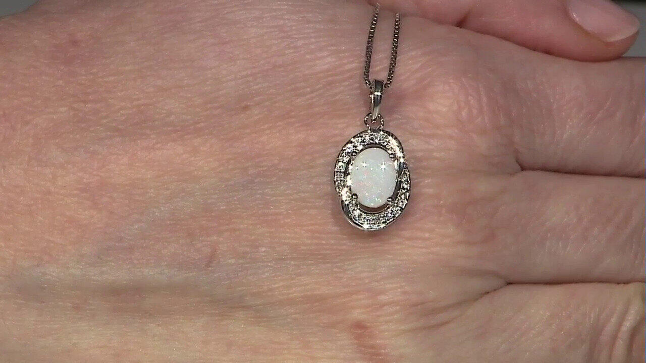 Letzte TV-Show ansehen