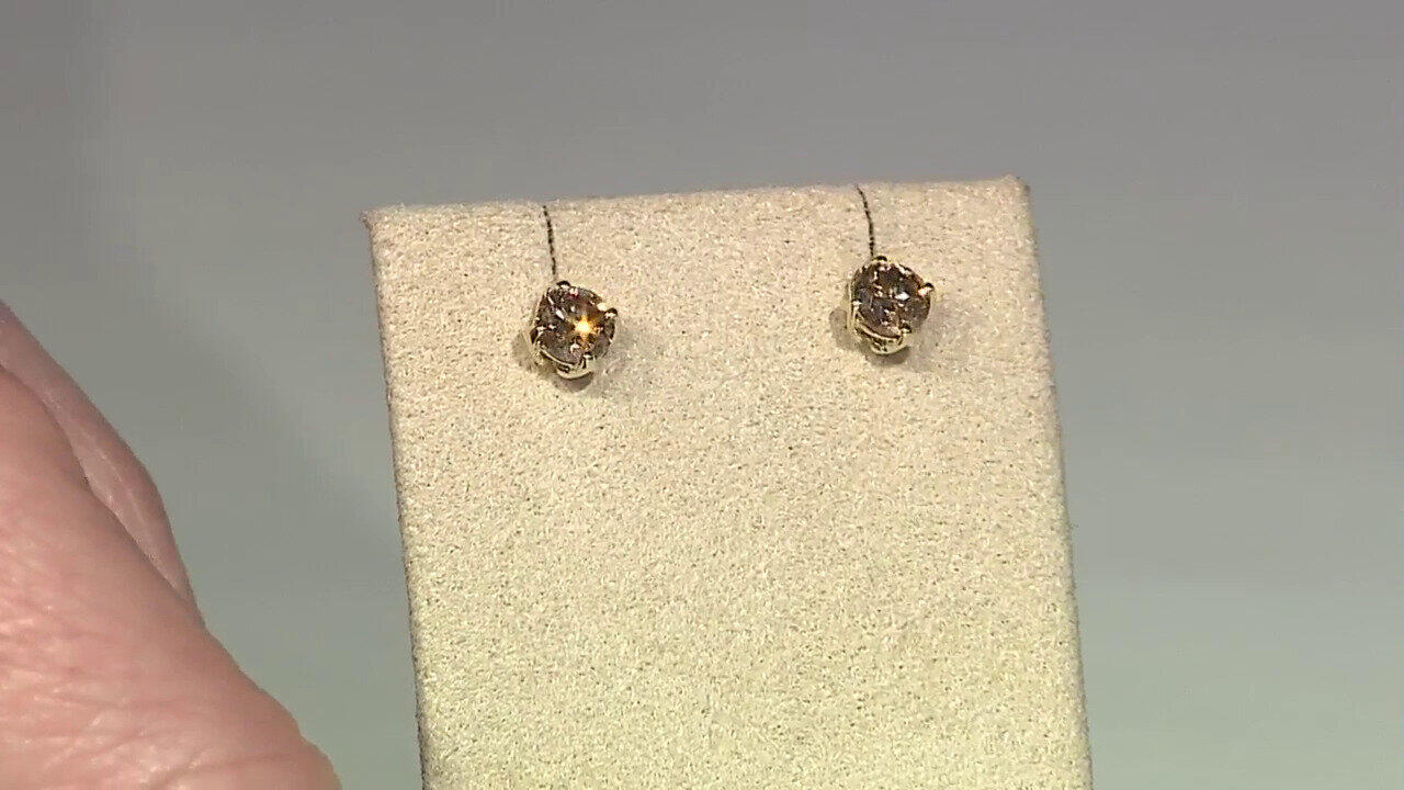 Letzte TV-Show ansehen