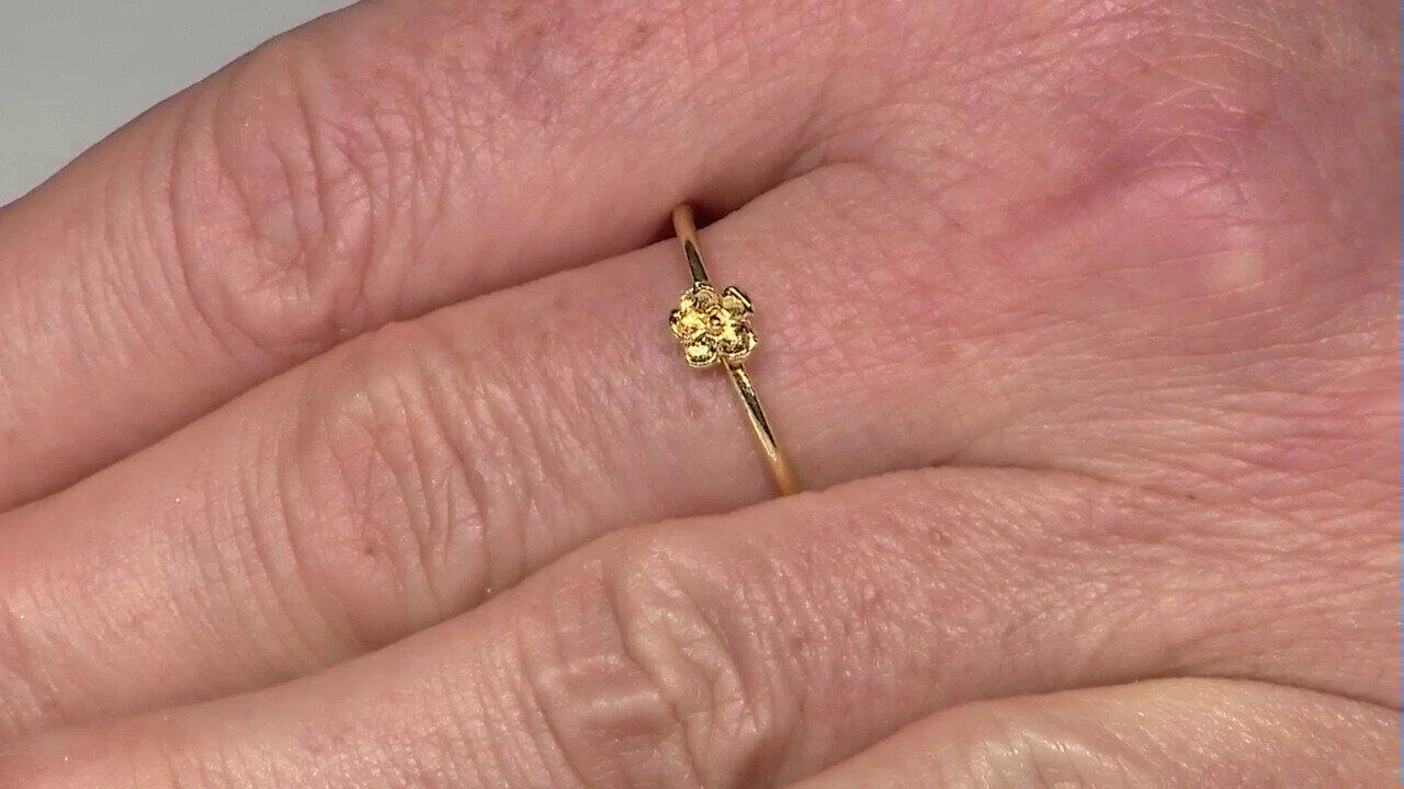 Letzte TV-Show ansehen