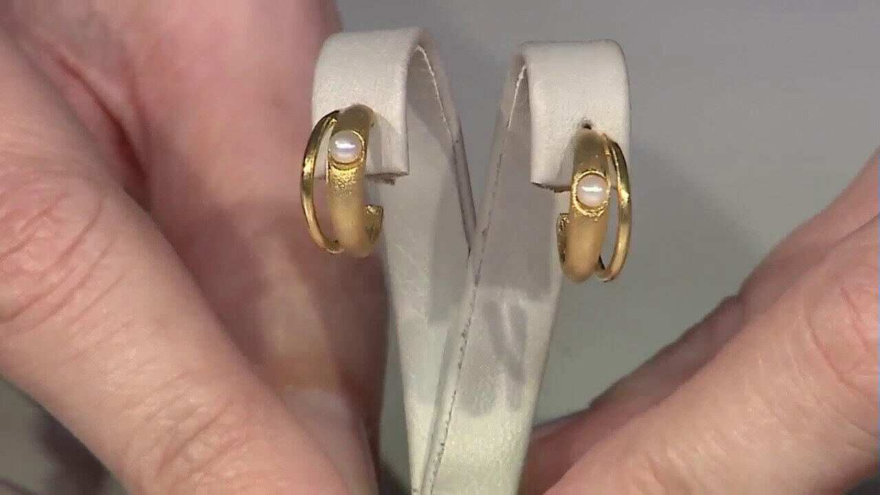 Letzte TV-Show ansehen