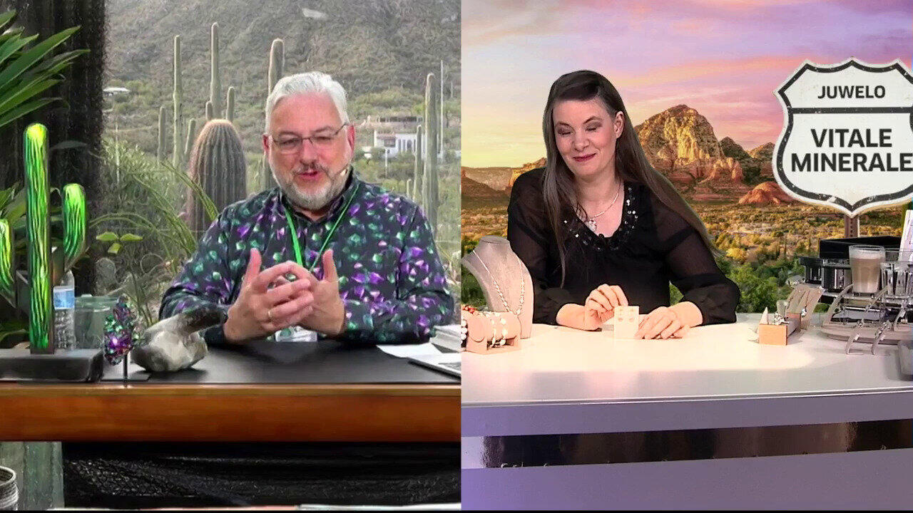 Laatste live aanbiedingen bekijken