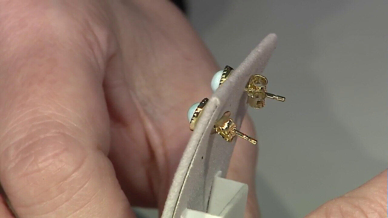 Letzte TV-Show ansehen