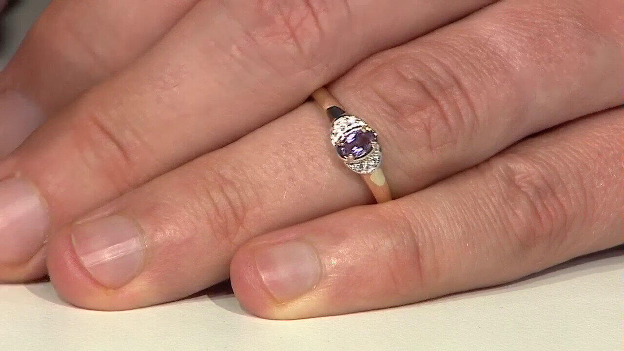 Letzte TV-Show ansehen