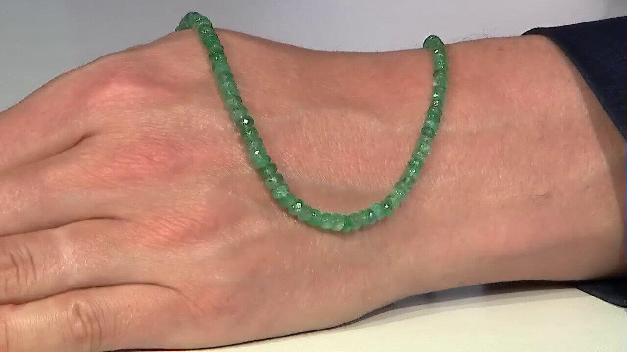 Letzte TV-Show ansehen