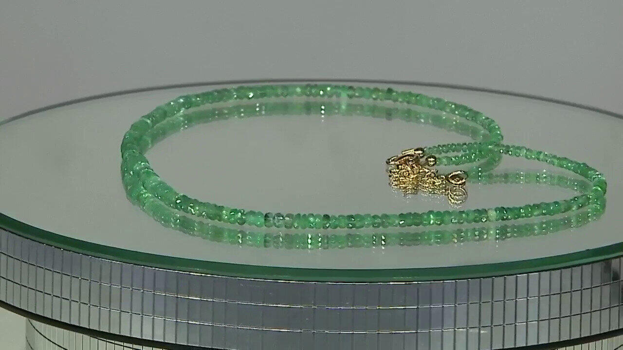 Letzte TV-Show ansehen