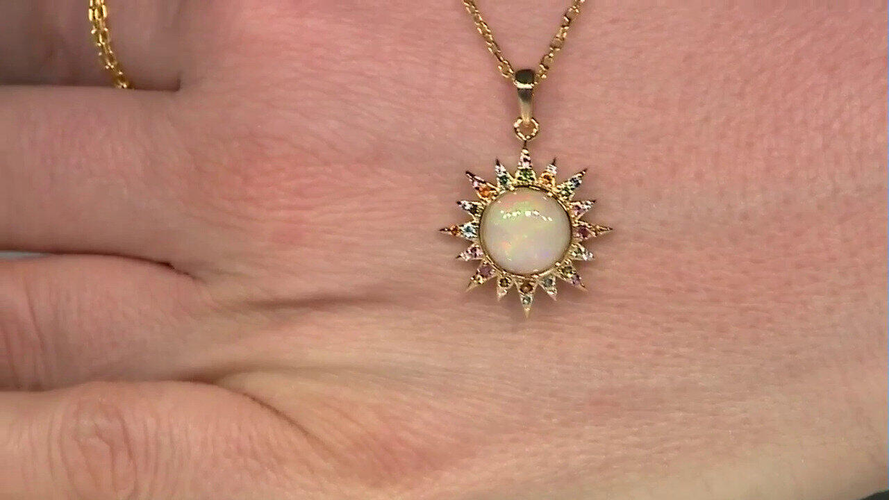 Letzte TV-Show ansehen