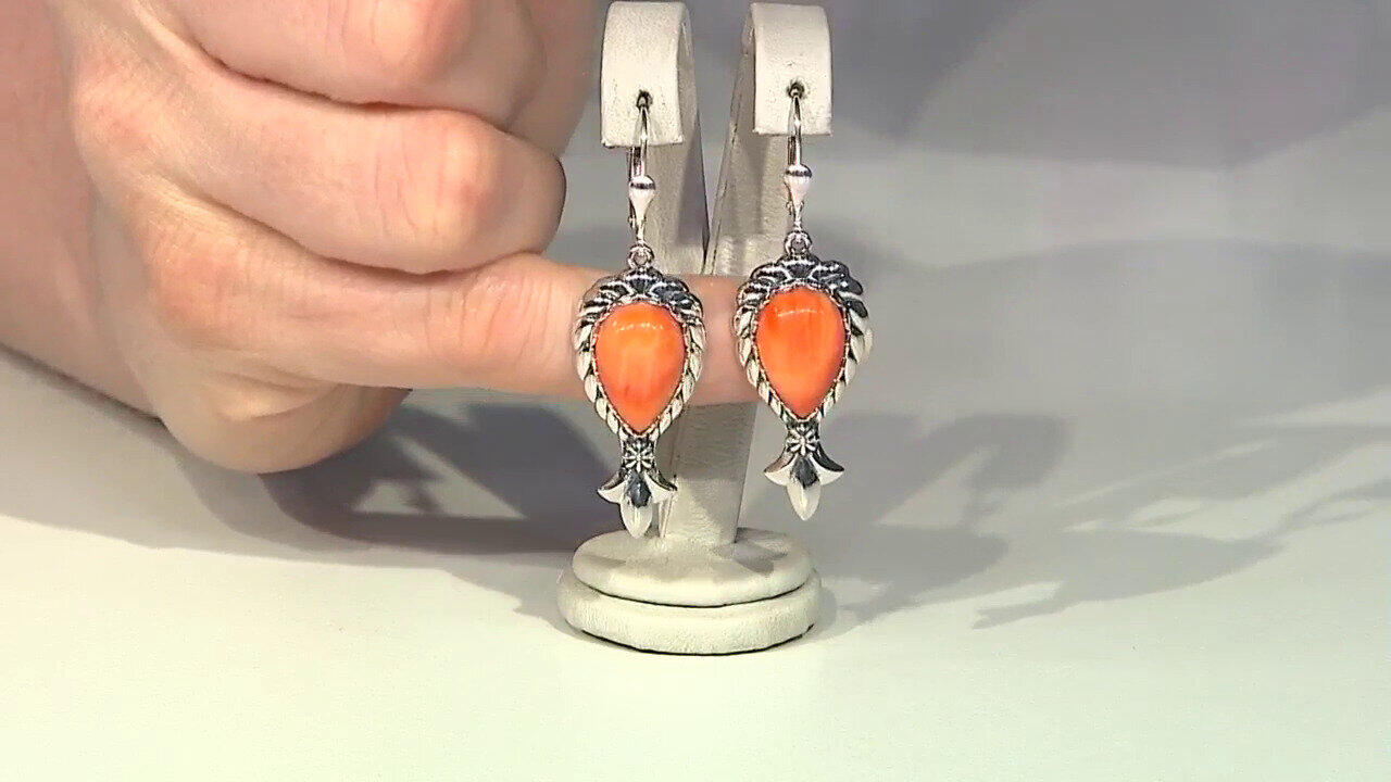 Visualizza l‘ultima asta di gioielli in Tv