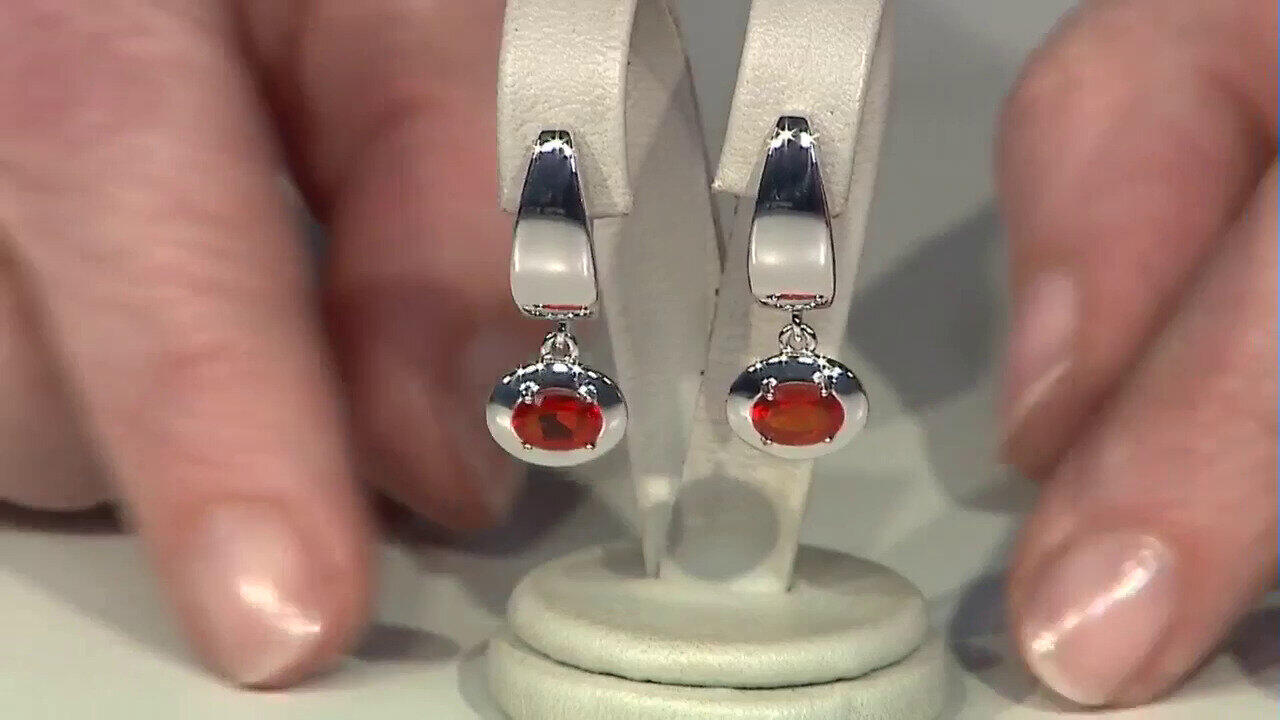 Laatste live aanbiedingen bekijken