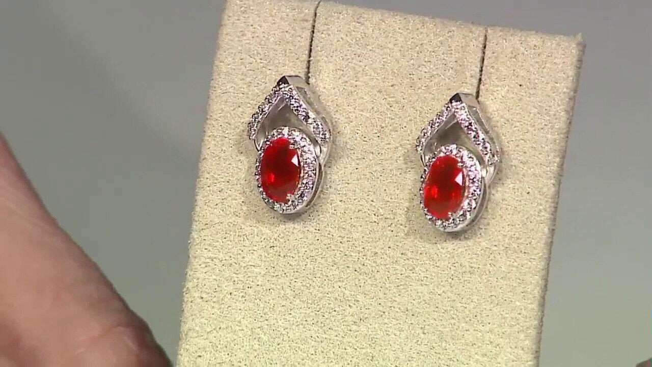 Laatste live aanbiedingen bekijken