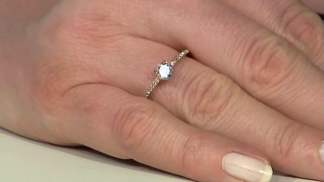 Letzte TV-Show ansehen