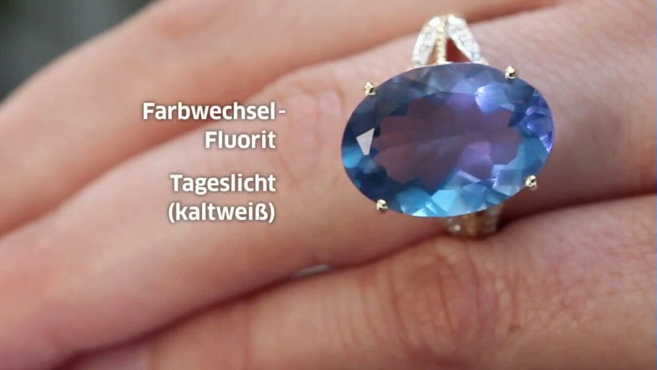 Letzte TV-Show ansehen