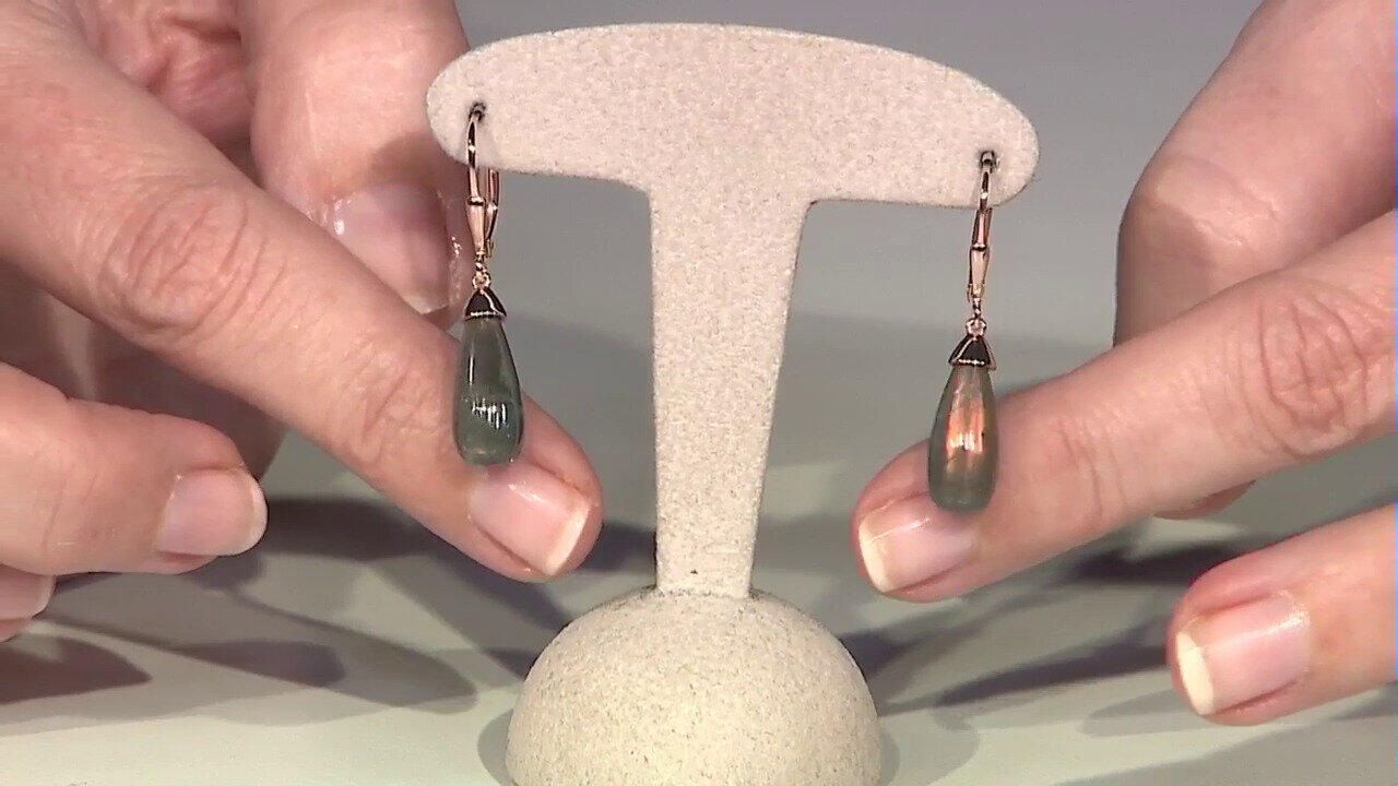 Laatste live aanbiedingen bekijken