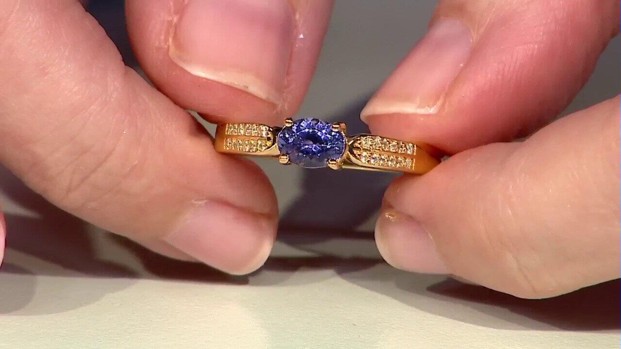 Letzte TV-Show ansehen