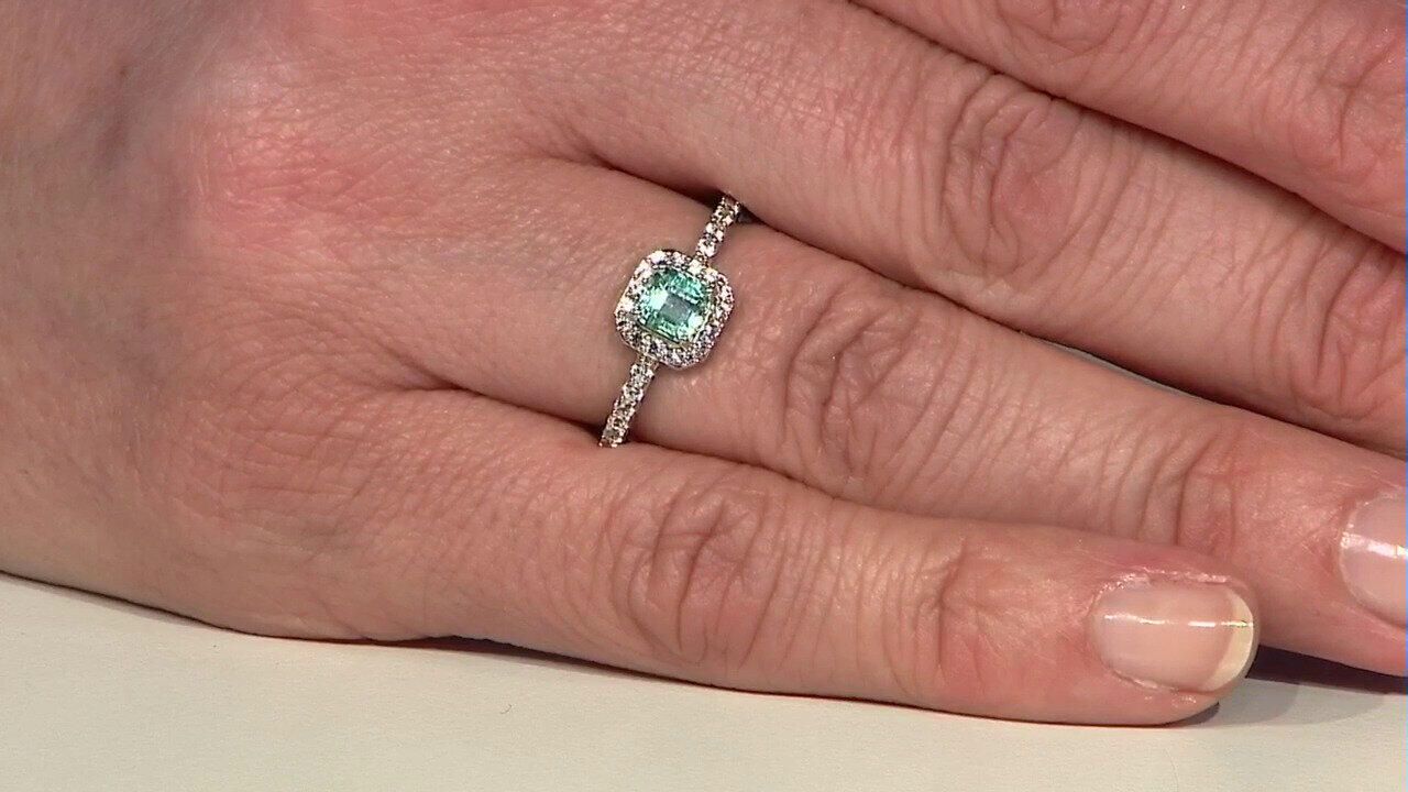 Laatste live aanbiedingen bekijken