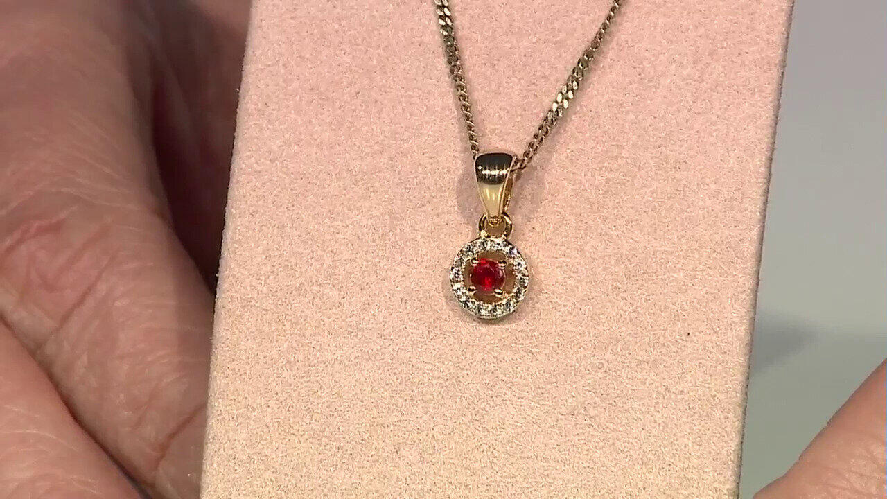 Letzte TV-Show ansehen