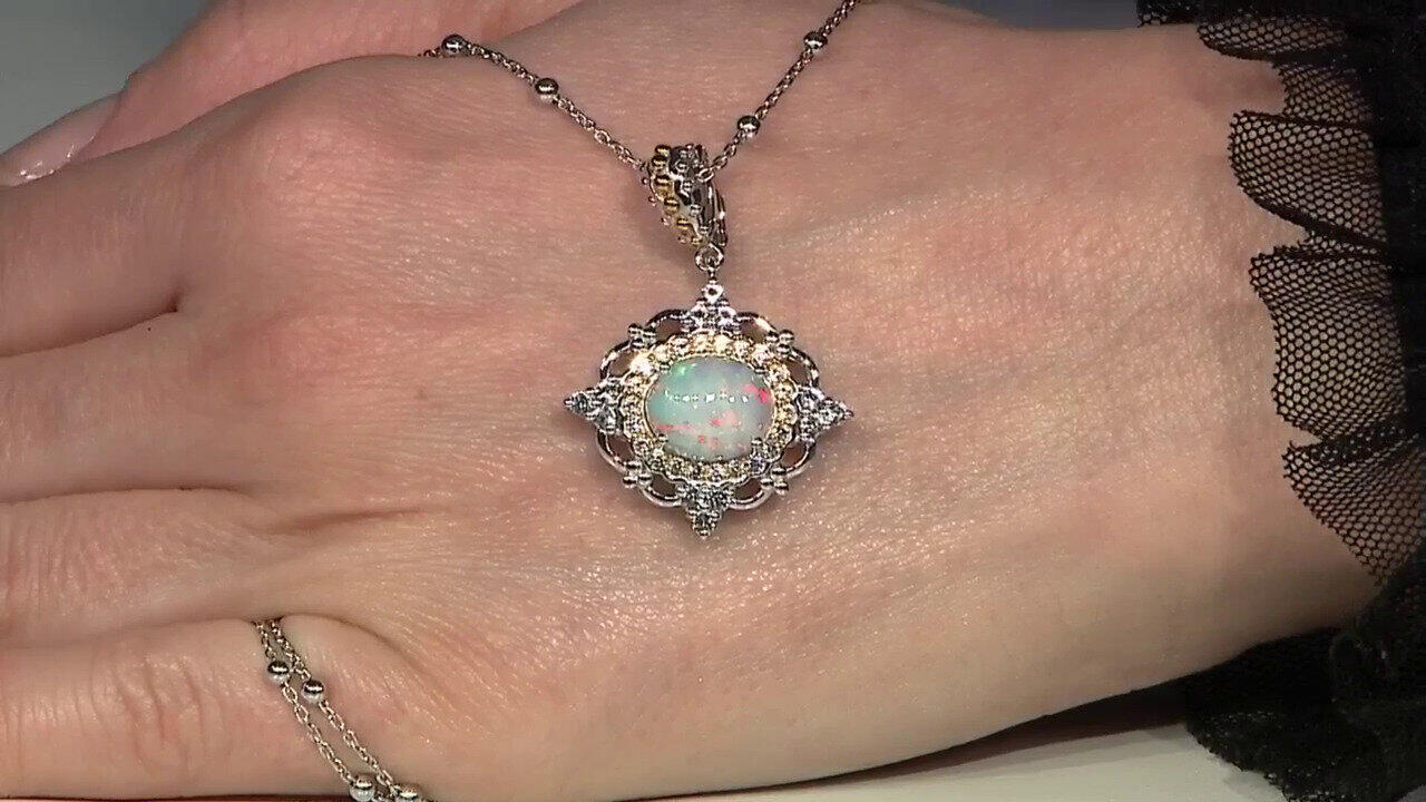 Letzte TV-Show ansehen