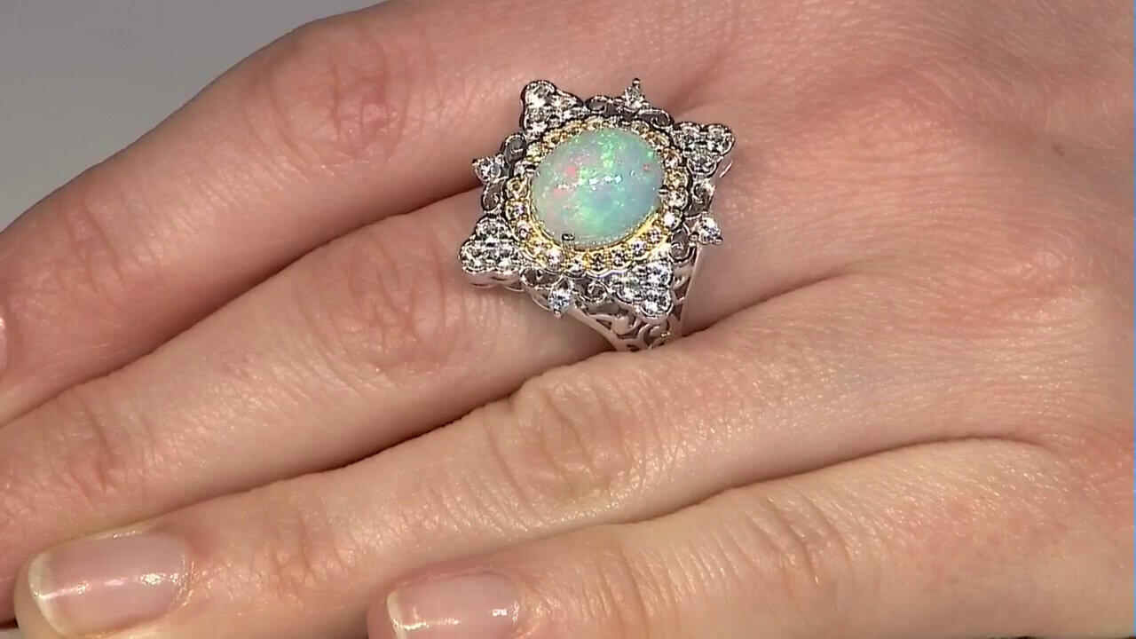 Letzte TV-Show ansehen