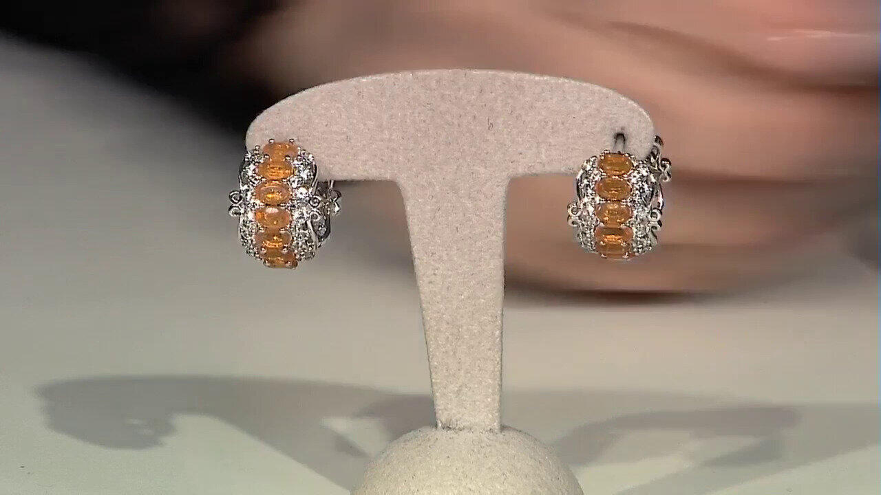 Letzte TV-Show ansehen