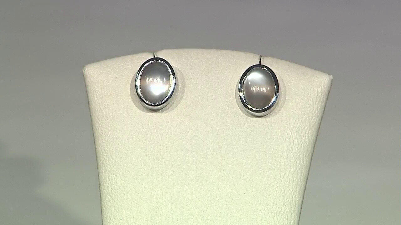 Letzte TV-Show ansehen