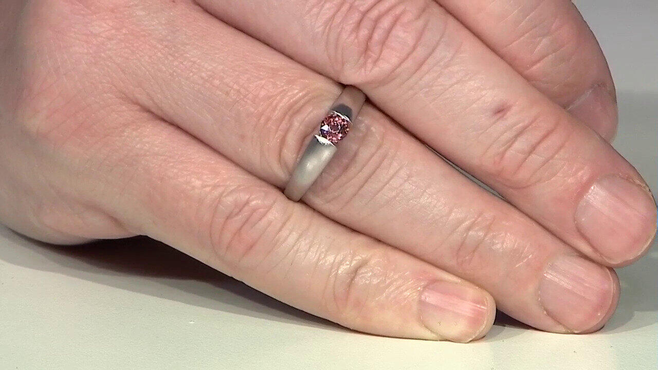 Letzte TV-Show ansehen