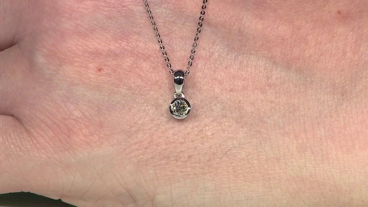 Letzte TV-Show ansehen