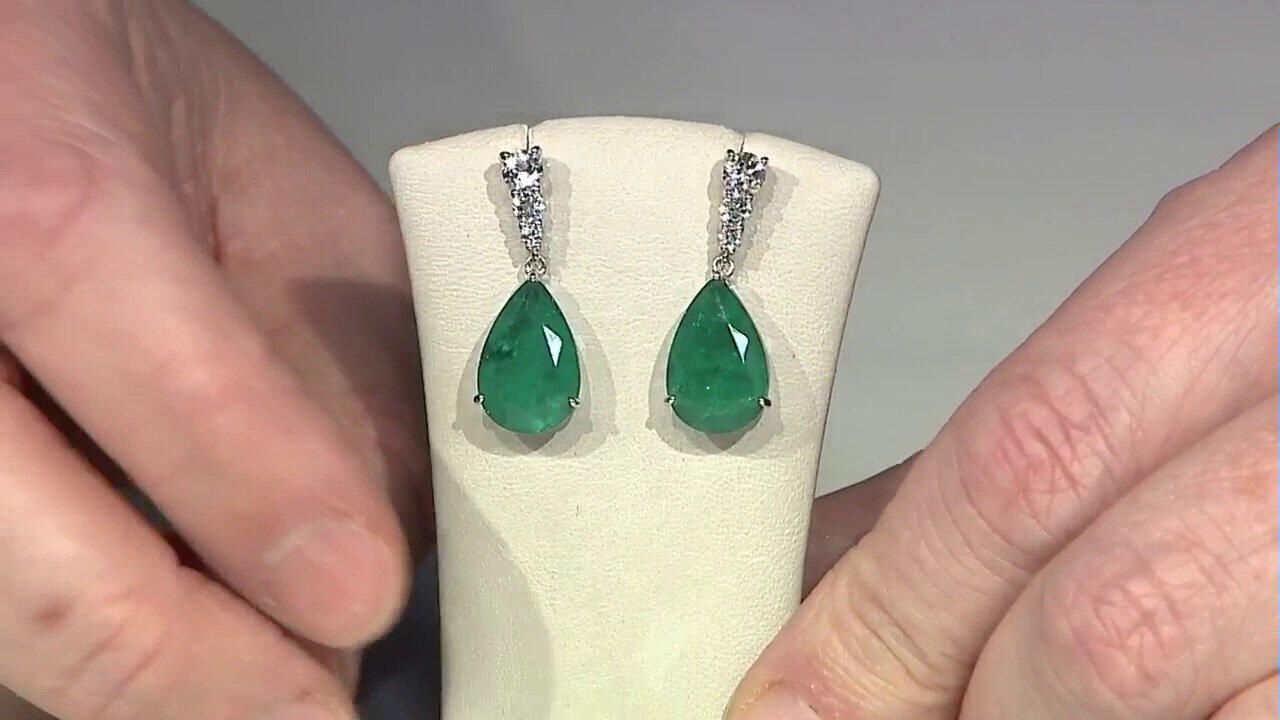 Letzte TV-Show ansehen