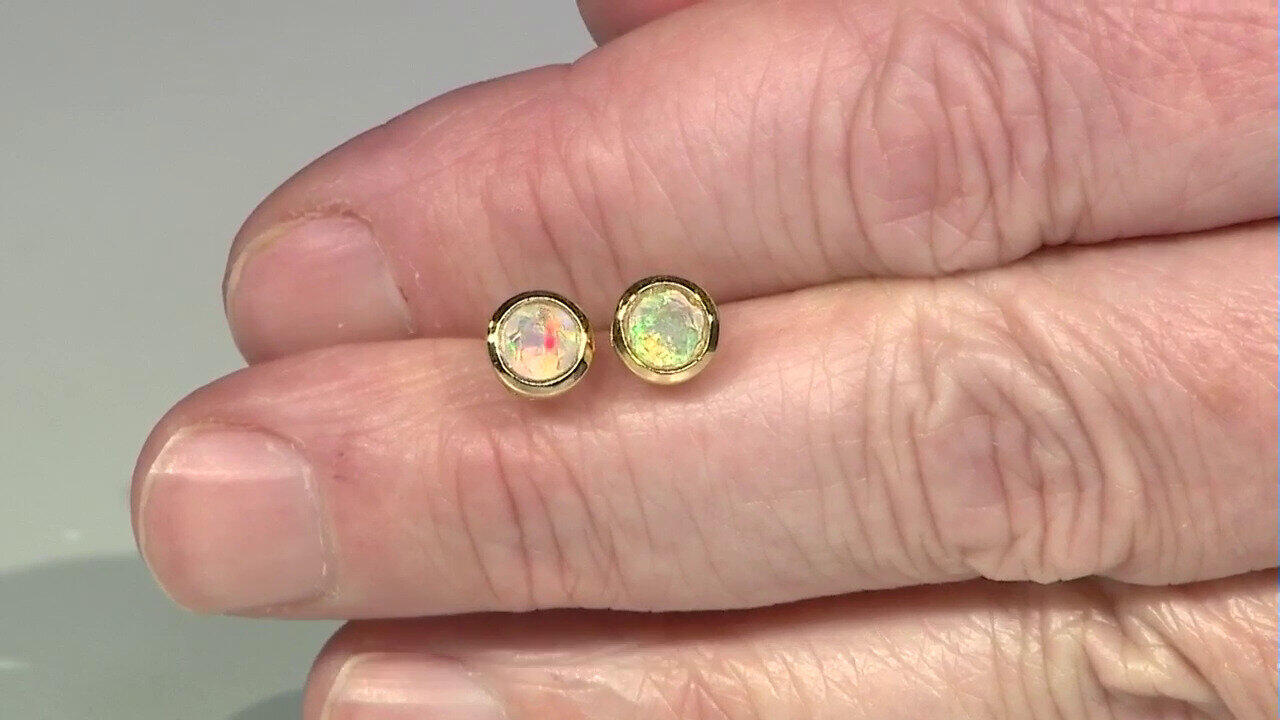 Laatste live aanbiedingen bekijken