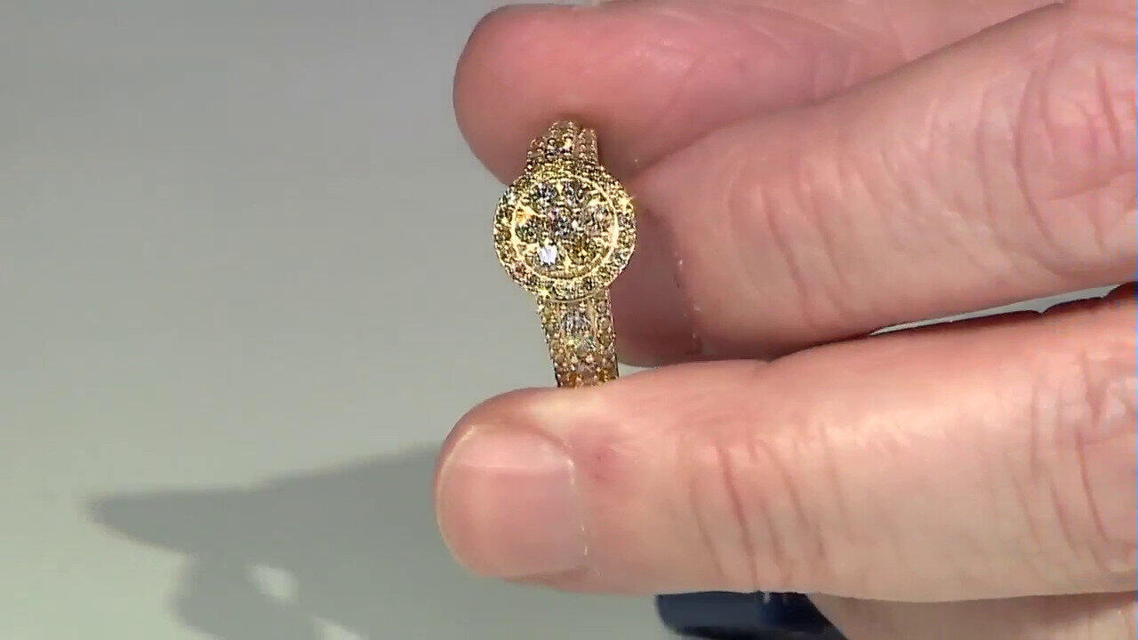 Letzte TV-Show ansehen