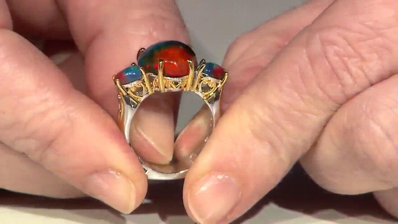 Letzte TV-Show ansehen