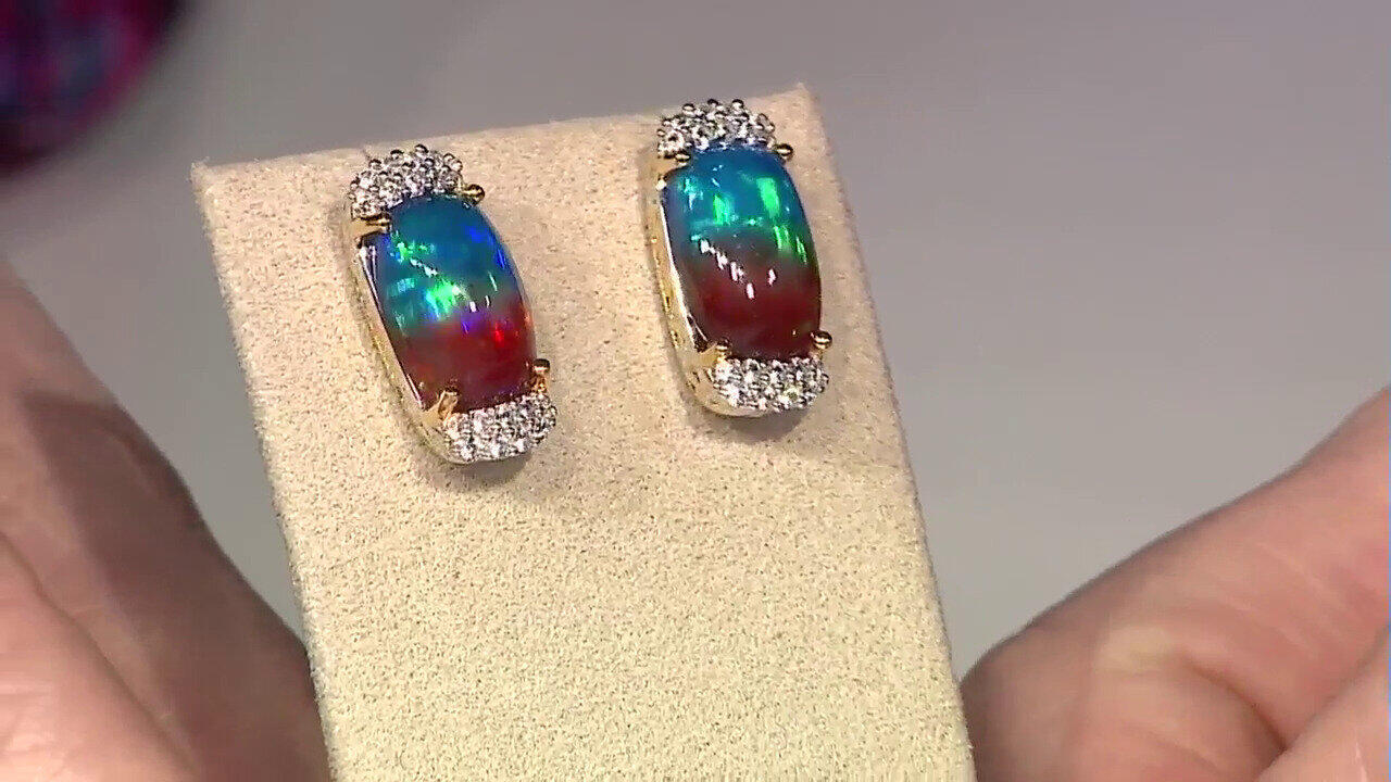 Letzte TV-Show ansehen
