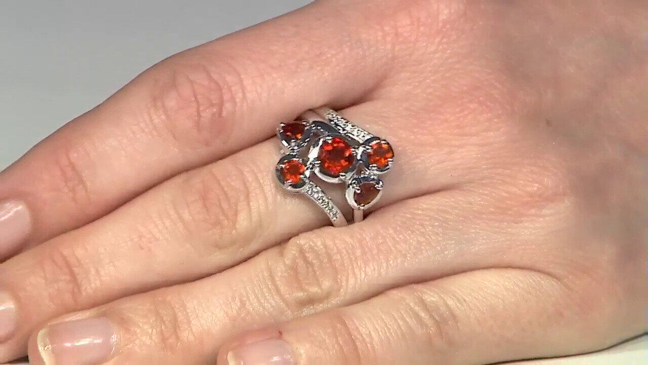 Letzte TV-Show ansehen