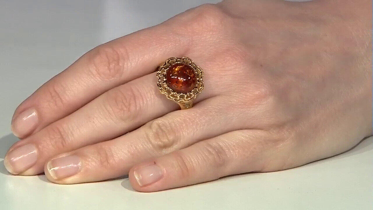 Letzte TV-Show ansehen