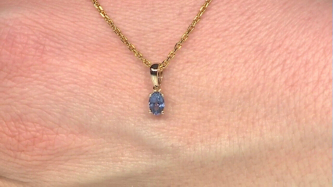 Letzte TV-Show ansehen