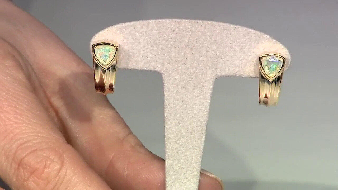 Ver última TV oferta